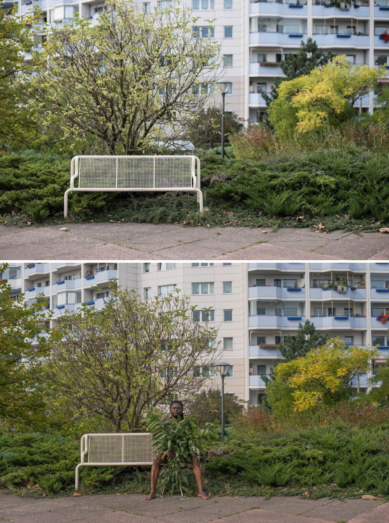 Two frames stacked vertically. Above, a white bench on a paved path with trees and a long housing block behind. Below, the same bench, with a figure half hidden in the foliage beside it.